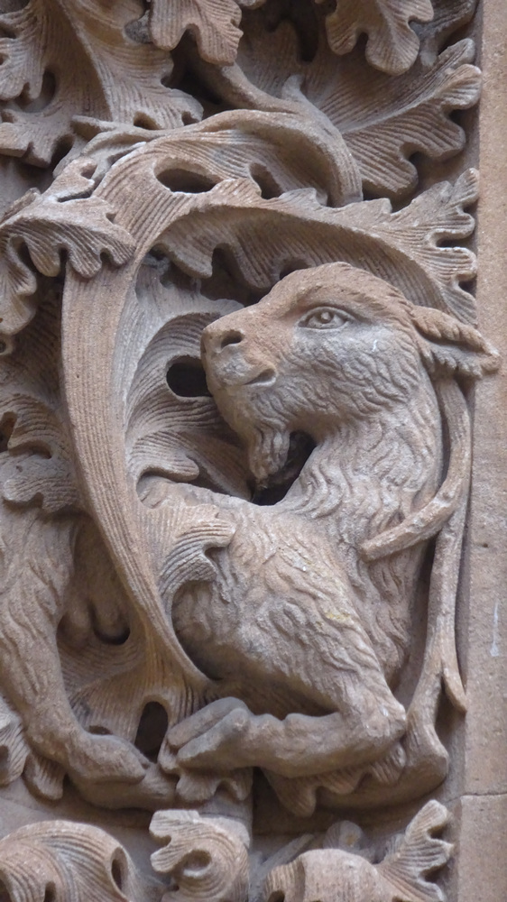 Thomsons Travels Photograph - Thursday 14th April 2016